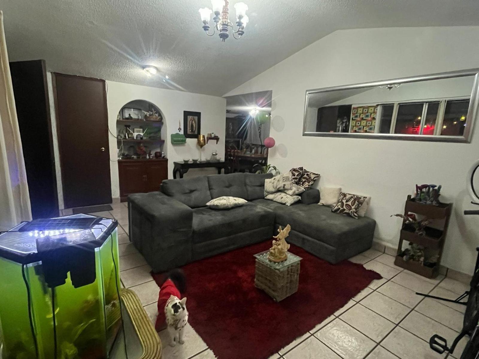 Las Rosas Mexico City Ngoại thất bức ảnh