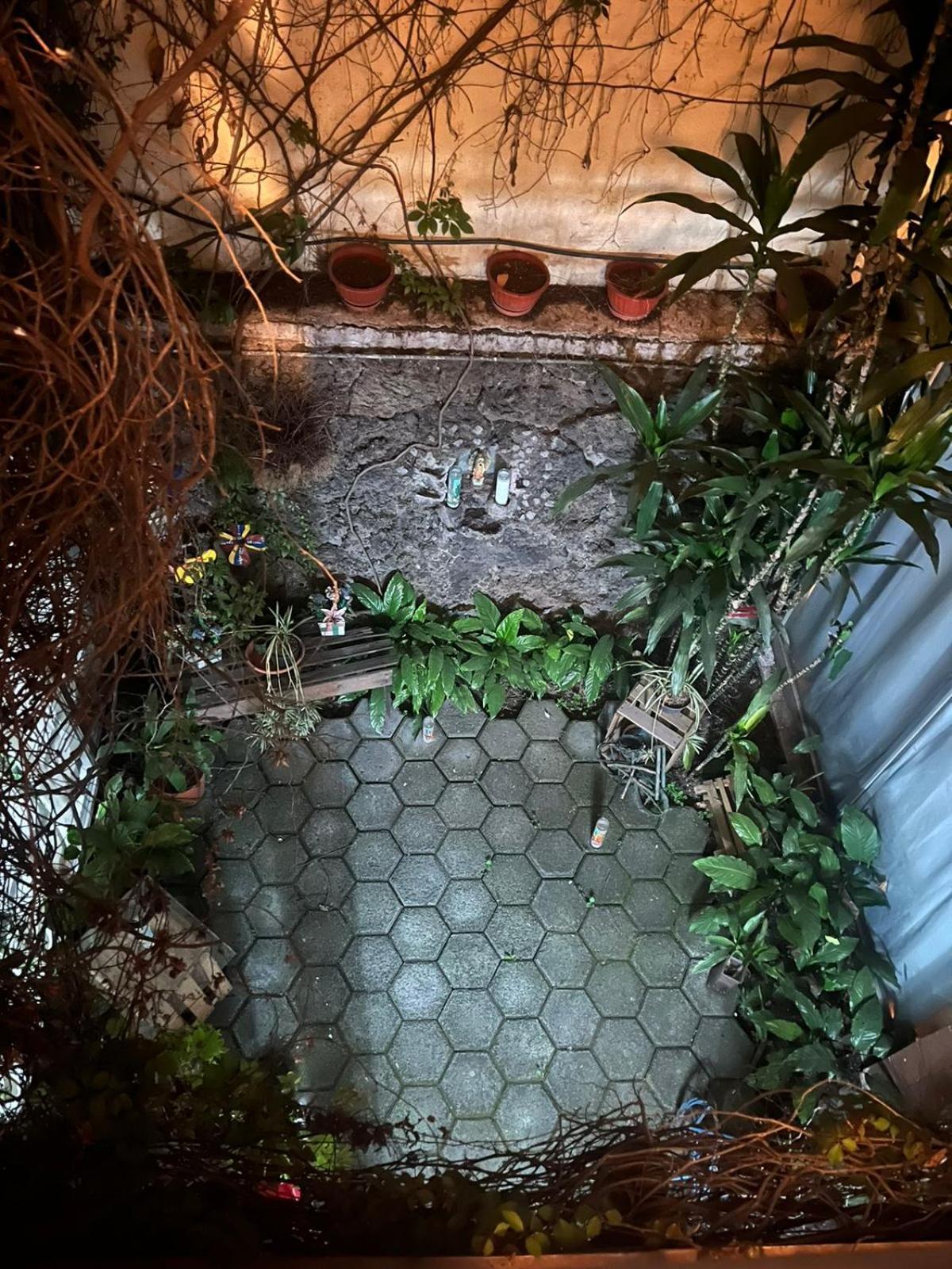 Las Rosas Mexico City Ngoại thất bức ảnh